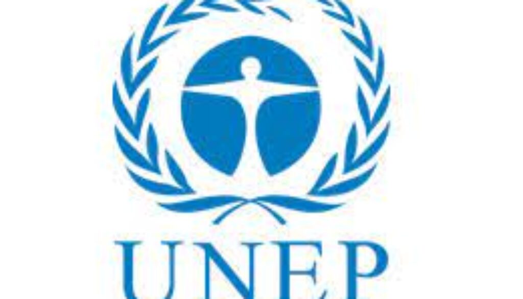 FINANCE AND BUDGET OFFICER, P3, Job Ref. SO/UNEP/09/23-036