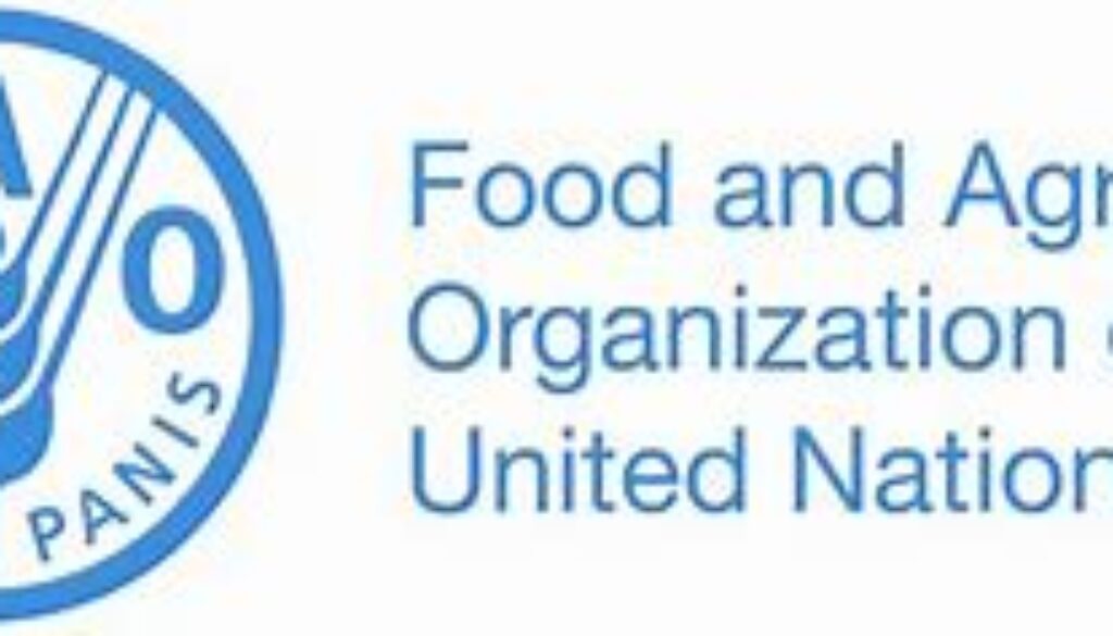 Programme Specialist – JOSP Maareynta and YOU-A, Mogadishu, Somalia – Job Ref. SOM/FAO/0708/2456